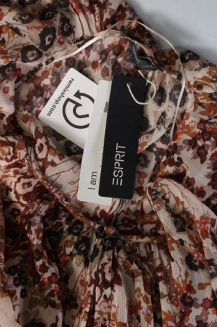 Γυναικεία μπλούζα Esprit, Μέγεθος M, Χρώμα Καφέ, Τιμή 7,79 €