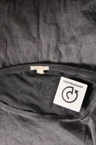 Damen Shirt Esprit, Größe S, Farbe Grau, Preis € 3,75