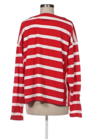Γυναικεία μπλούζα Esprit, Μέγεθος XL, Χρώμα Πολύχρωμο, Τιμή 9,51 €