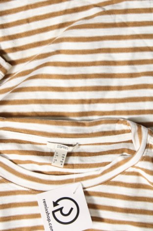 Γυναικεία μπλούζα Esprit, Μέγεθος XS, Χρώμα Πολύχρωμο, Τιμή 2,69 €