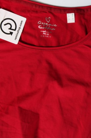 Bluză de femei Esprit, Mărime M, Culoare Roșu, Preț 95,39 Lei