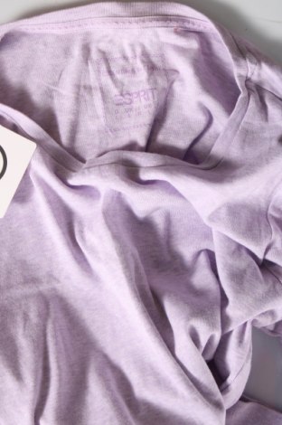 Γυναικεία μπλούζα Esprit, Μέγεθος L, Χρώμα Βιολετί, Τιμή 8,12 €