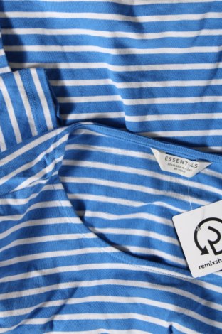Γυναικεία μπλούζα Essentials by Tchibo, Μέγεθος L, Χρώμα Μπλέ, Τιμή 3,88 €