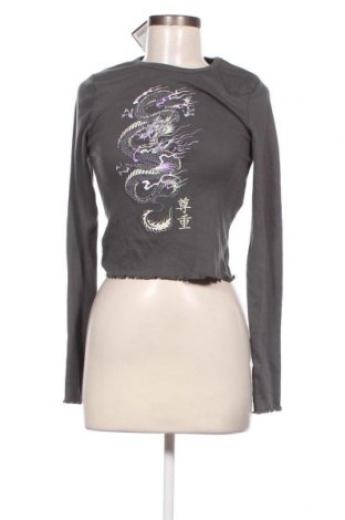 Damen Shirt Fb Sister, Größe S, Farbe Grau, Preis € 1,78