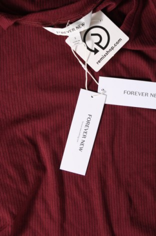 Γυναικεία μπλούζα Forever New, Μέγεθος S, Χρώμα Κόκκινο, Τιμή 26,82 €