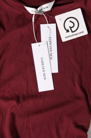 Γυναικεία μπλούζα Forever New, Μέγεθος XS, Χρώμα Κόκκινο, Τιμή 7,89 €