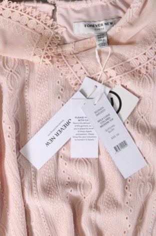 Γυναικεία μπλούζα Forever New, Μέγεθος XXL, Χρώμα Ρόζ , Τιμή 42,59 €