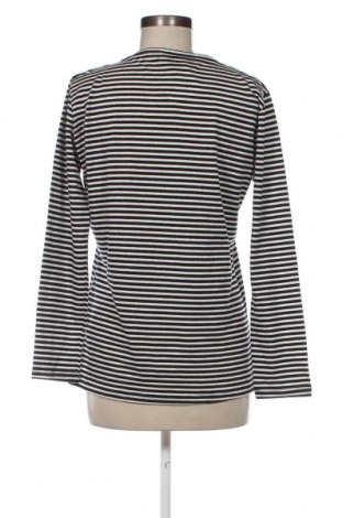 Γυναικεία μπλούζα Fransa, Μέγεθος L, Χρώμα Πολύχρωμο, Τιμή 2,69 €