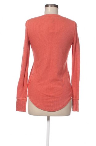 Γυναικεία μπλούζα Gap Maternity, Μέγεθος XS, Χρώμα Ρόζ , Τιμή 5,57 €