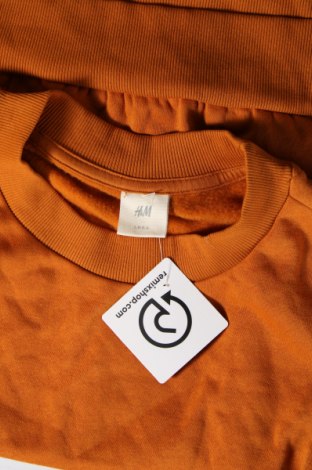Damen Shirt H&M L.O.G.G., Größe M, Farbe Gelb, Preis € 1,98