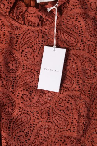 Γυναικεία μπλούζα Ivy & Oak, Μέγεθος S, Χρώμα Πορτοκαλί, Τιμή 39,43 €