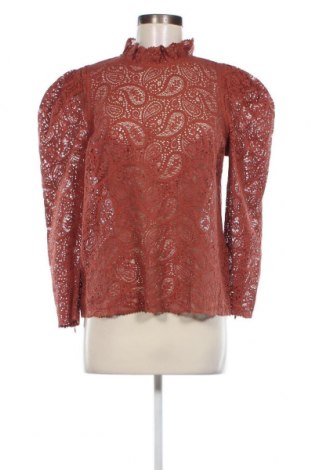 Γυναικεία μπλούζα Ivy & Oak, Μέγεθος S, Χρώμα Πορτοκαλί, Τιμή 39,43 €