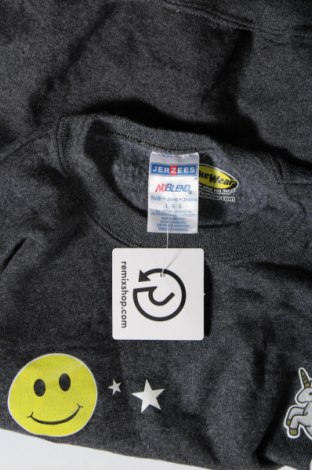 Γυναικεία μπλούζα Jerzees, Μέγεθος L, Χρώμα Γκρί, Τιμή 5,41 €