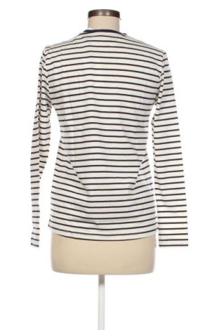 Γυναικεία μπλούζα MSCH, Μέγεθος XS, Χρώμα Λευκό, Τιμή 11,91 €