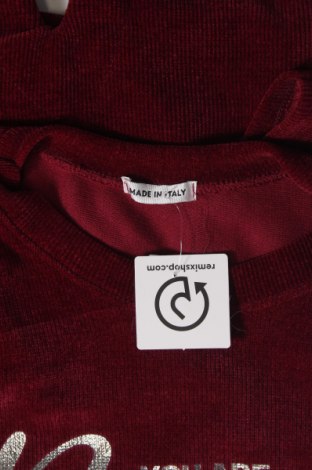 Γυναικεία μπλούζα Made In Italy, Μέγεθος XL, Χρώμα Κόκκινο, Τιμή 11,75 €