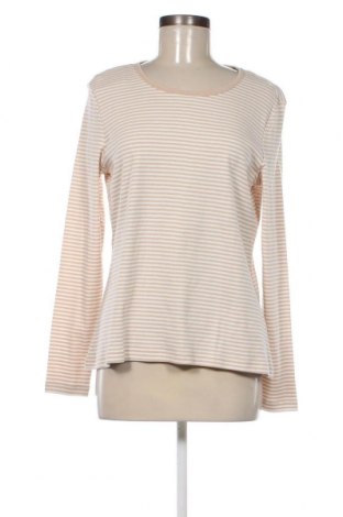 Γυναικεία μπλούζα Montego, Μέγεθος XL, Χρώμα Πολύχρωμο, Τιμή 9,11 €