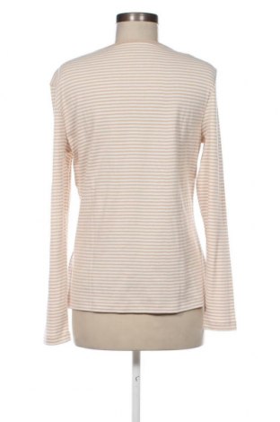 Damen Shirt Montego, Größe XL, Farbe Mehrfarbig, Preis € 15,98