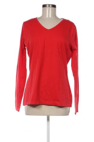 Γυναικεία μπλούζα Oc, Μέγεθος XL, Χρώμα Κόκκινο, Τιμή 3,06 €
