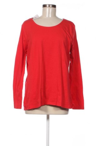 Γυναικεία μπλούζα Woman By Tchibo, Μέγεθος XL, Χρώμα Κόκκινο, Τιμή 6,70 €
