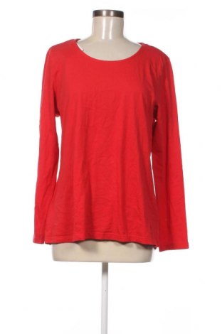 Damen Shirt Tchibo, Größe XL, Farbe Rot, Preis 3,04 €