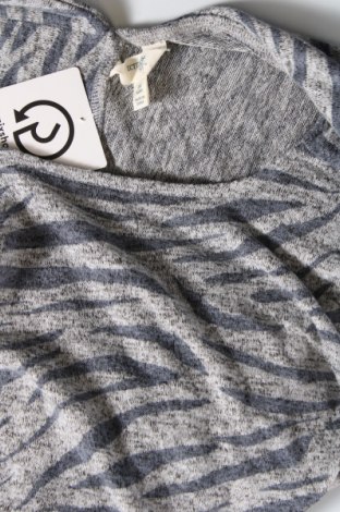 Γυναικεία μπλούζα Terra & Sky, Μέγεθος XL, Χρώμα Γκρί, Τιμή 5,17 €