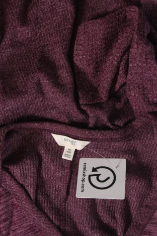 Damen Shirt Terra & Sky, Größe XL, Farbe Lila, Preis € 13,22