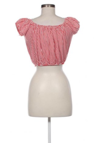 Damen Shirt Terranova, Größe XS, Farbe Mehrfarbig, Preis 6,34 €