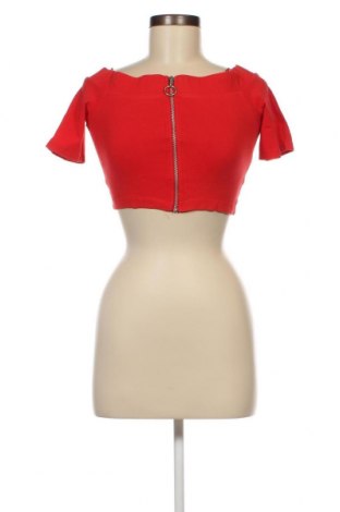 Damen Shirt Terranova, Größe S, Farbe Rot, Preis 3,40 €