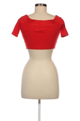Damen Shirt Terranova, Größe S, Farbe Rot, Preis € 3,40