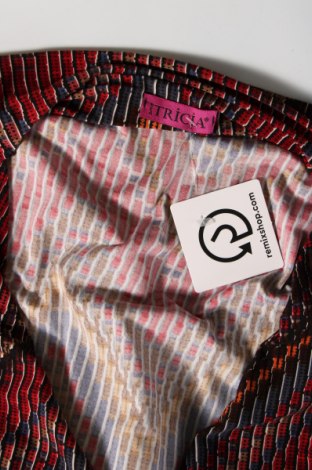 Γυναικεία μπλούζα Tricia, Μέγεθος L, Χρώμα Πολύχρωμο, Τιμή 2,35 €