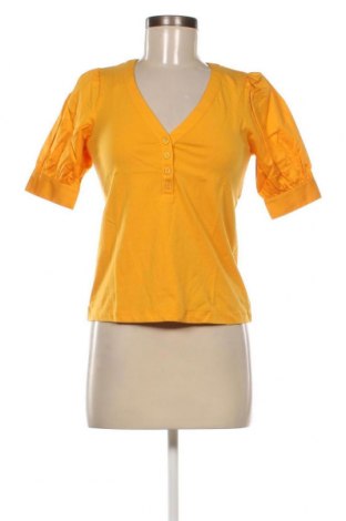 Γυναικεία μπλούζα Who What Wear, Μέγεθος XS, Χρώμα Κίτρινο, Τιμή 26,82 €