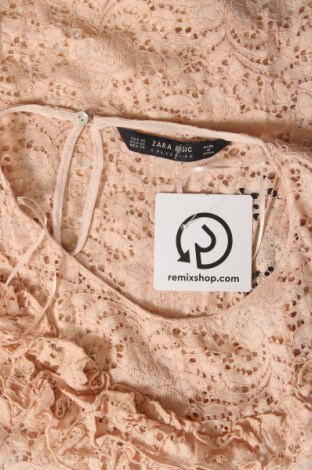 Γυναικεία μπλούζα Zara, Μέγεθος XS, Χρώμα Ρόζ , Τιμή 8,00 €