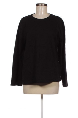 Damen Shirt Zara, Größe L, Farbe Schwarz, Preis € 4,68