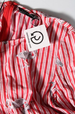 Damen Shirt Zara, Größe S, Farbe Mehrfarbig, Preis € 5,26