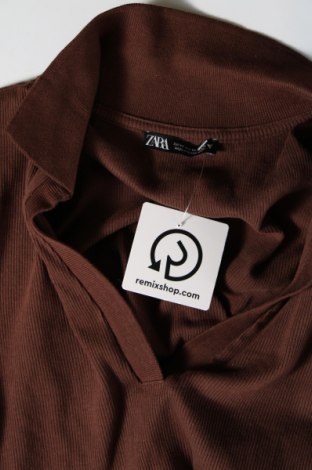 Damen Shirt Zara, Größe M, Farbe Braun, Preis 5,54 €