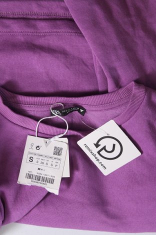 Damen Shirt Zara, Größe S, Farbe Lila, Preis 37,58 €