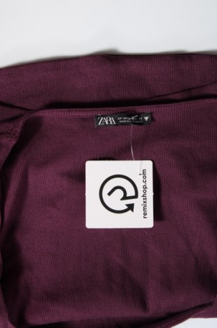 Damen Shirt Zara, Größe M, Farbe Lila, Preis € 8,04