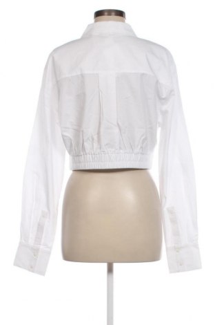 Γυναικείο πουκάμισο Aligne, Μέγεθος XL, Χρώμα Λευκό, Τιμή 52,58 €