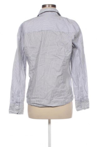 Γυναικείο πουκάμισο Blue Motion, Μέγεθος L, Χρώμα Πολύχρωμο, Τιμή 3,09 €