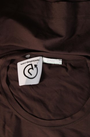 Dámske tričko Brax, Veľkosť XL, Farba Hnedá, Cena  10,08 €