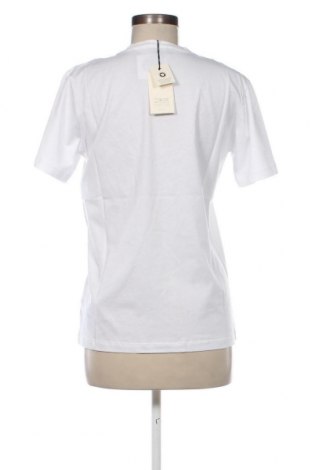 Damen T-Shirt Progetto Quid, Größe S, Farbe Weiß, Preis 17,01 €