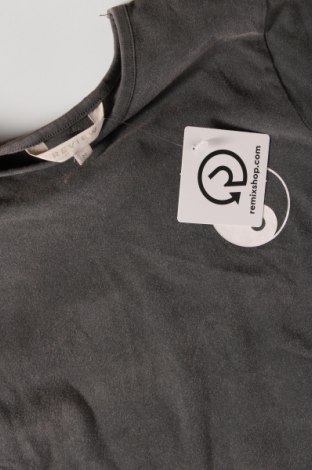 Γυναικείο t-shirt Review, Μέγεθος M, Χρώμα Γκρί, Τιμή 17,01 €