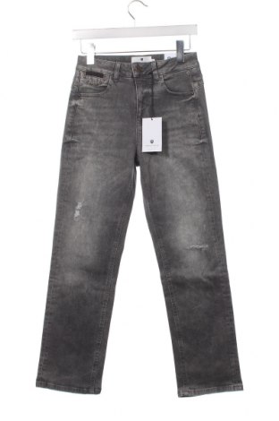 Damen Jeans Freeman T. Porter, Größe S, Farbe Grau, Preis € 82,99
