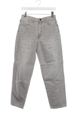 Damen Jeans Pinko, Größe S, Farbe Grau, Preis € 102,53