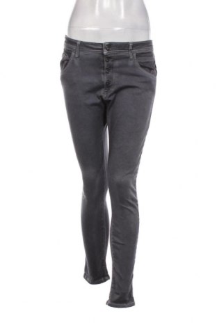 Damen Jeans Replay, Größe S, Farbe Grau, Preis 34,24 €