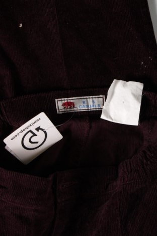 Pantaloni de velvet de femei B.s, Mărime XL, Culoare Mov, Preț 33,16 Lei