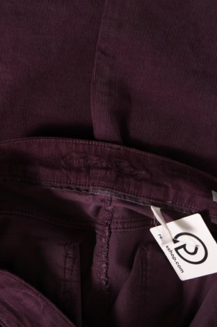 Γυναικείο κοτλέ παντελόνι Christian Berg, Μέγεθος XL, Χρώμα Βιολετί, Τιμή 9,11 €
