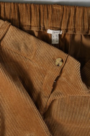Pantaloni de velvet de femei Esprit, Mărime L, Culoare Maro, Preț 286,18 Lei