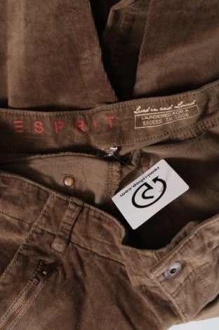 Дамски джинси Esprit, Размер M, Цвят Кафяв, Цена 3,50 лв.