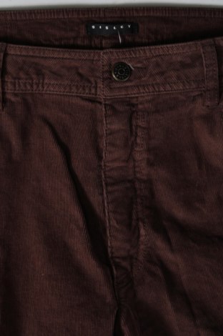 Γυναικείο κοτλέ παντελόνι Sisley, Μέγεθος XL, Χρώμα Καφέ, Τιμή 43,42 €